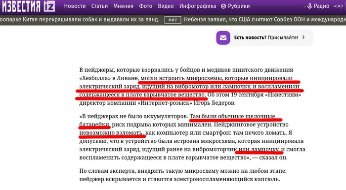 Are you sure you're an expert? Or did a scientist rape a journalist? (possibly with a pager) - My, Pager, Lebanon, Explosion, Sabotage, Sabotage, Special services, Mossad, Longpost, Terrorist attack