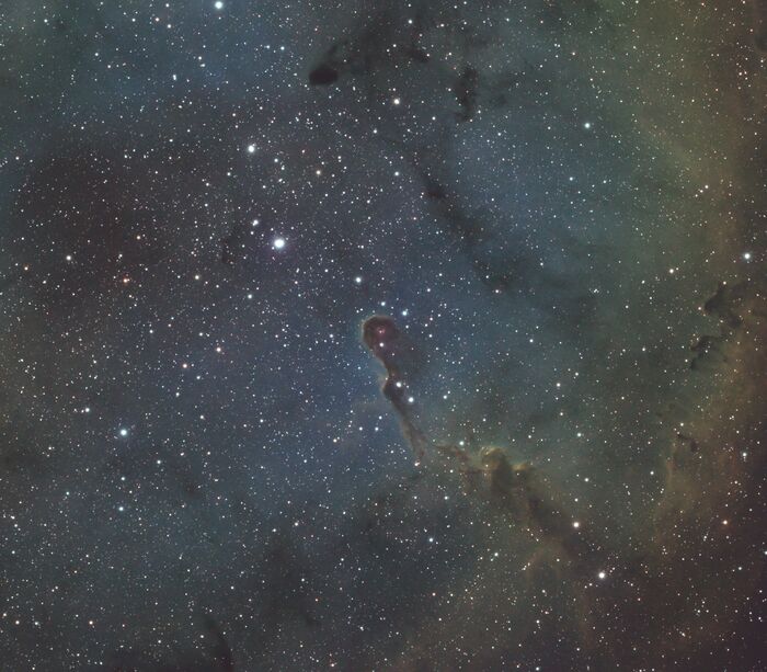      IC 1396