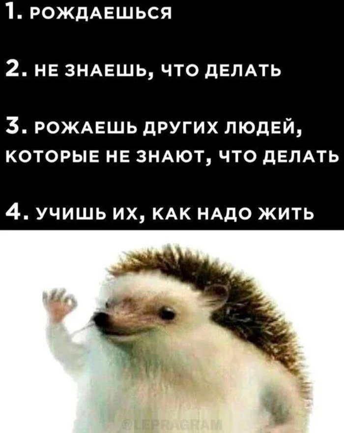 ����...