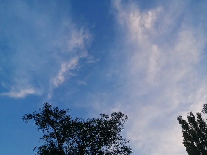 Evening. Clouds. Pink clouds - My, Sky, Evening, Voronezh, Clouds, Longpost