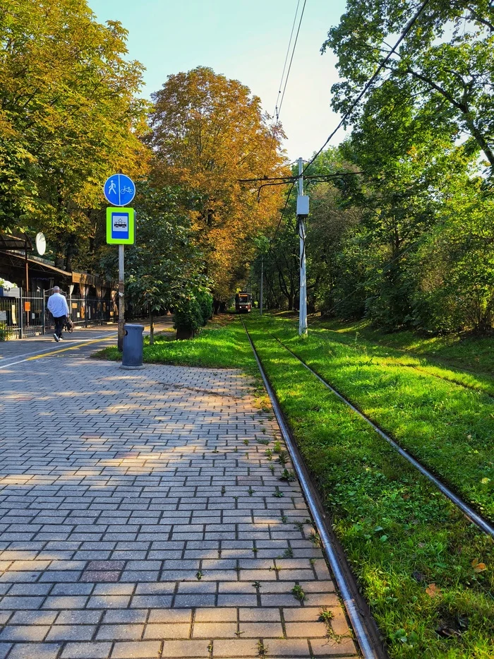 And in the streets it's autumn - My, Autumn, Seasons, Town, City walk, Street photography, Kaliningrad, Aesthetics, Tram, Mobile photography