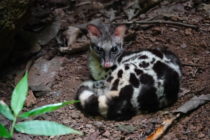 А ты готов к ночным тыгыдыкам? По глазам вижу, что нет!