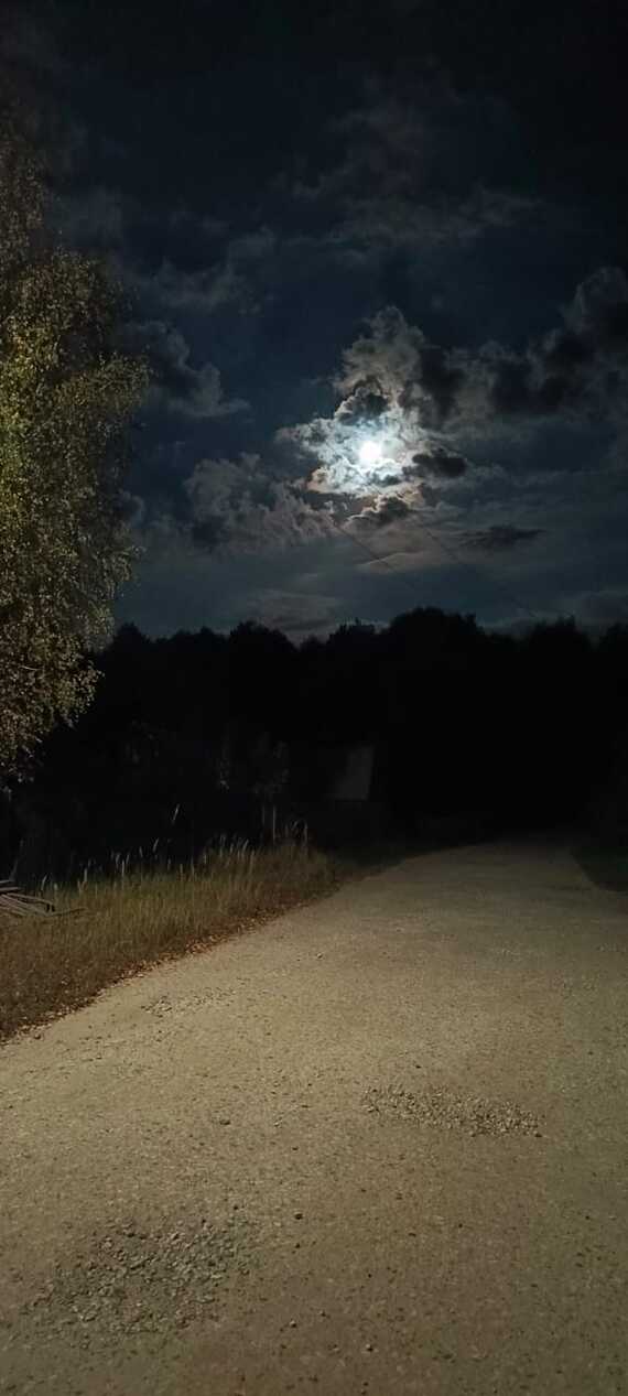 Scary beautiful - moon, Night, The photo