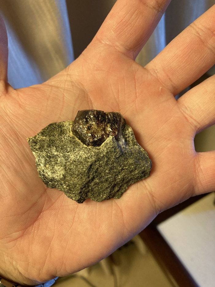 ������� ����������� �� ������. �.����������