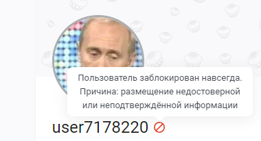 The moderators still removed the pro-Ukrainian propaganda - My, Politics, Propaganda, Peekaboo, Mat, Deleting posts on Pikabu