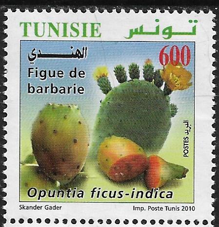 Traveling with Tunisian Post - My, Travels, Tunisia, Philately, Collecting, Islam, Carthage, Resort, Excursion, Longpost