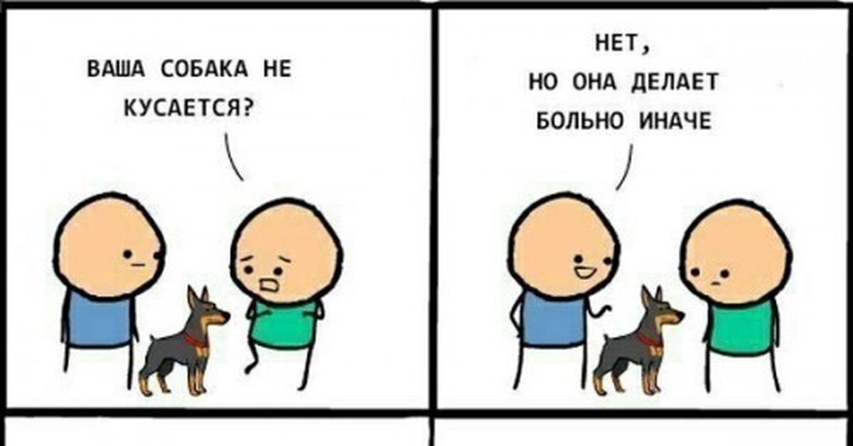 Ваша собака кусается. Это что твоя собака. Ваша собака кусается нет она делает. Это что твоя собака. Ваша собака кусается нет она делает больно иначе.