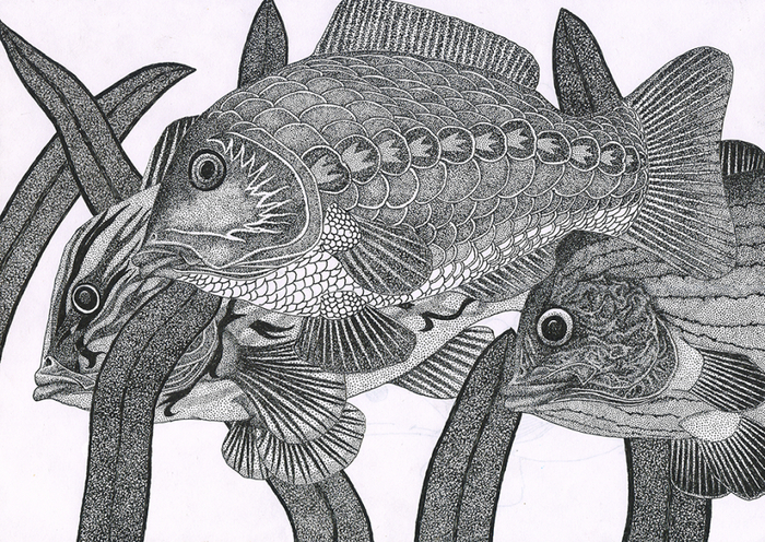 ��� ������ :)