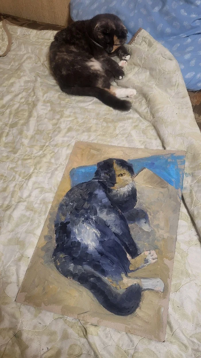 Fidgety Cat Model - My, Drawing, Tricolor cat, Scottish lop-eared, Painting, Animalistics, cat