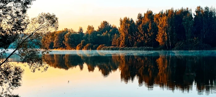 Утро на речке - Моё, Московская область, Мобильная фотография, Утро, Река, Природа