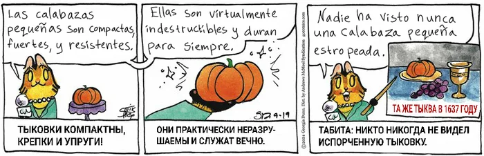 Koteikiny News from 09/19/2024 - My, Translation, Koteikin news (comic), Comics, cat