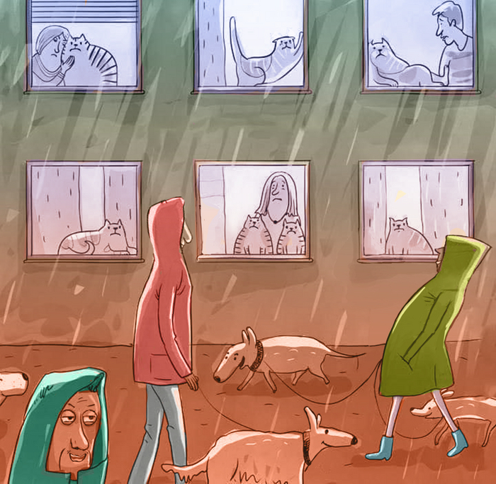 ����� �� ���� ���������� vs ���������