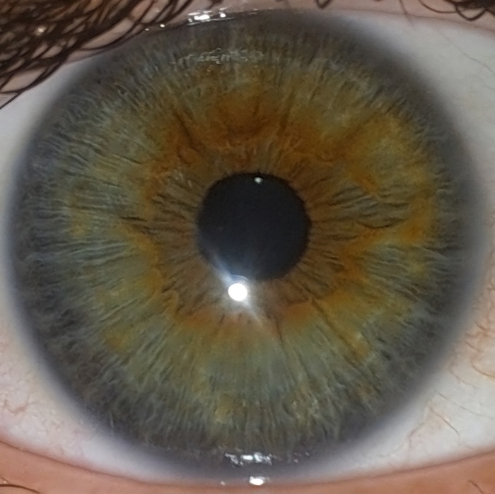 Помогите пожалуйста