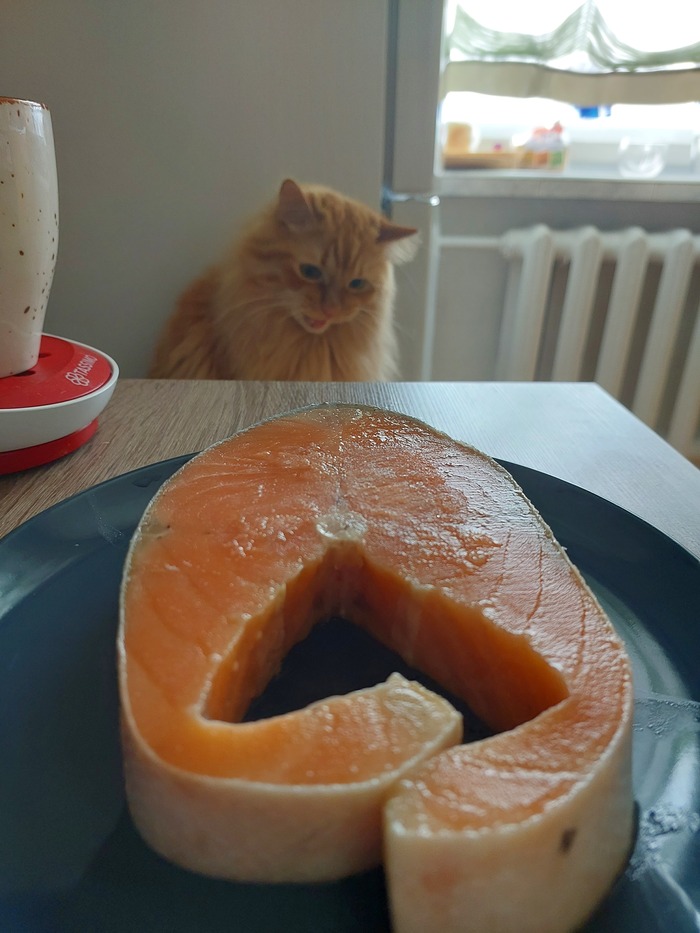 ������(�����)