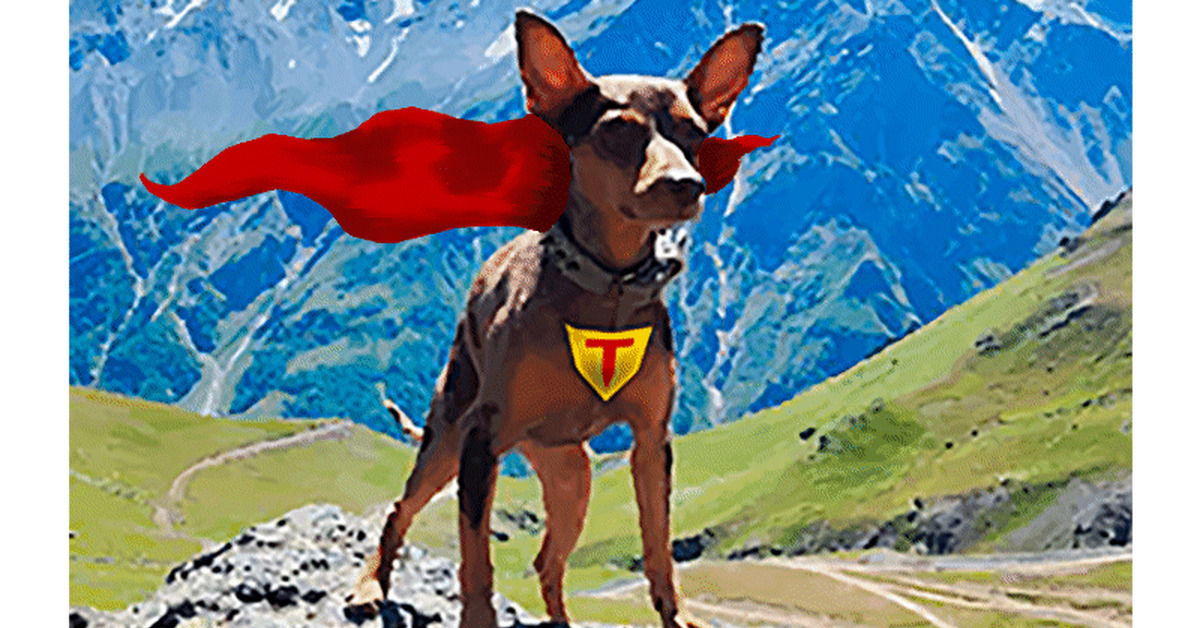 Everyone needs a hero at the end of the week... - Dog, Heroes, Heroic humor, Humor, Fatigue, Work week, GIF