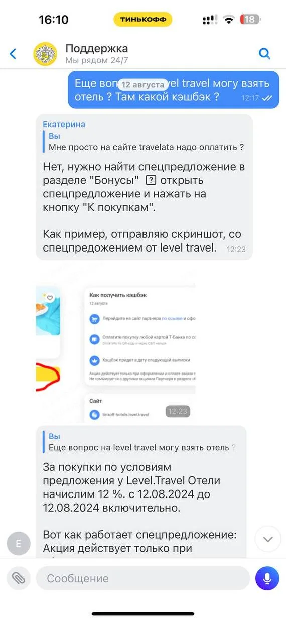 T-Bank cheated me out of 39k rubles - My, Tinkoff Bank, Deception, Longpost, Negative, Cashback, Screenshot, Correspondence, Text, A wave of posts, Support service