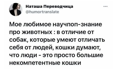 Кошки и собаки - Скриншот, Twitter, Юмор, Домашние животные, Собака, Кот