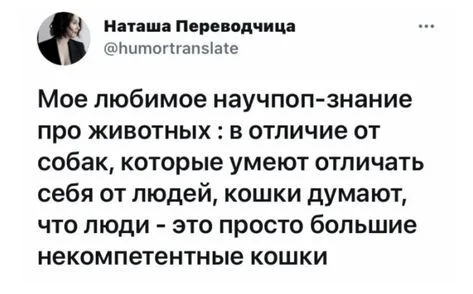 Кошки и собаки - Скриншот, Twitter, Юмор, Домашние животные, Собака, Кот