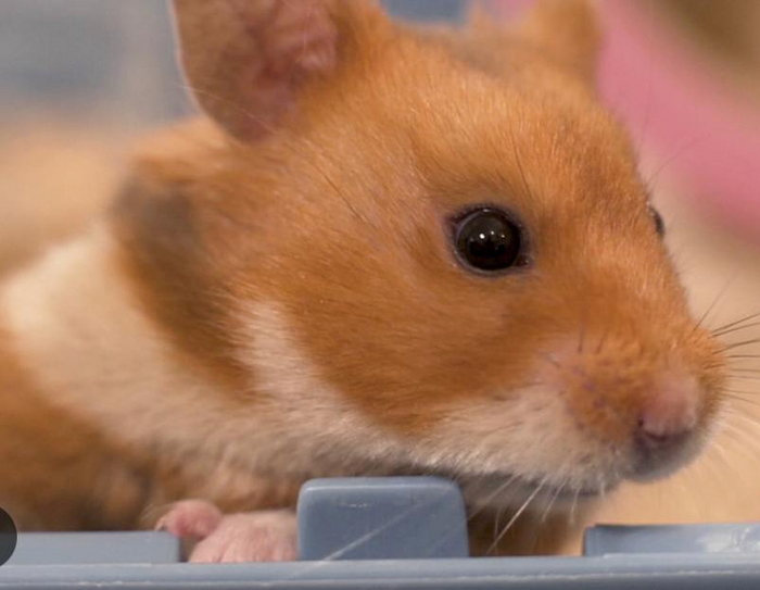 «Маленькая пятница» уже тут, братва