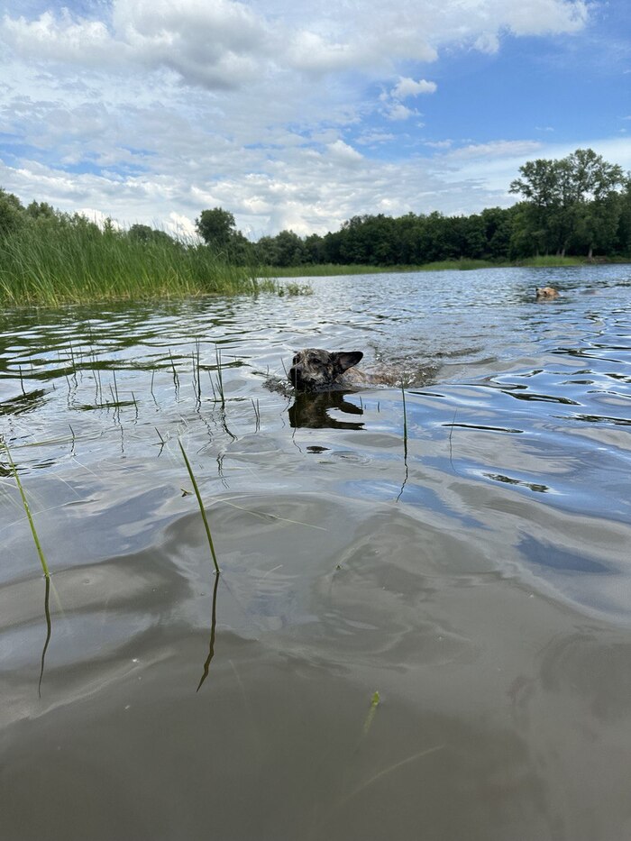 ��� ������ ������ ����