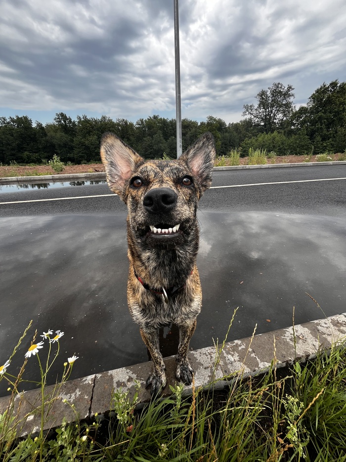 ����� ���� ������