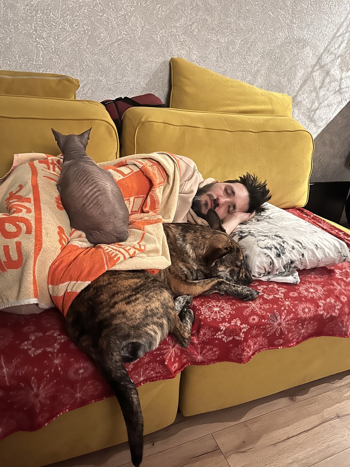 � �� ����� ���� ����� �������� �� ���������� � ����������?