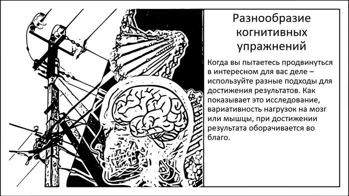 Разнообразие когнитивных упражнений улучшает память - Моё, Мозг, Исследования, Наука, Научпоп, Эксперимент, Длиннопост