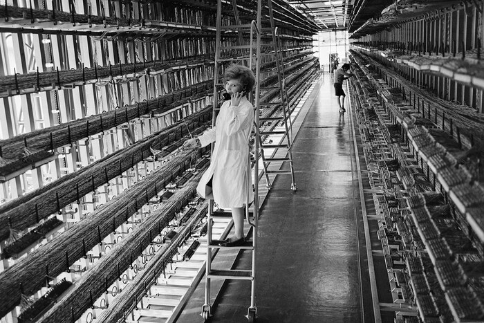 Монтер-комсомолка Люда Исаева проверяет соединения линейного кабельного оборудования, 1973 год