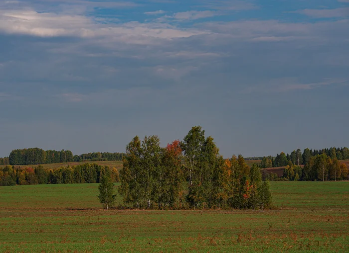 You need to know the places - My, Russia, Nature, Udmurtia, Field, Indian summer, Forest, Longpost