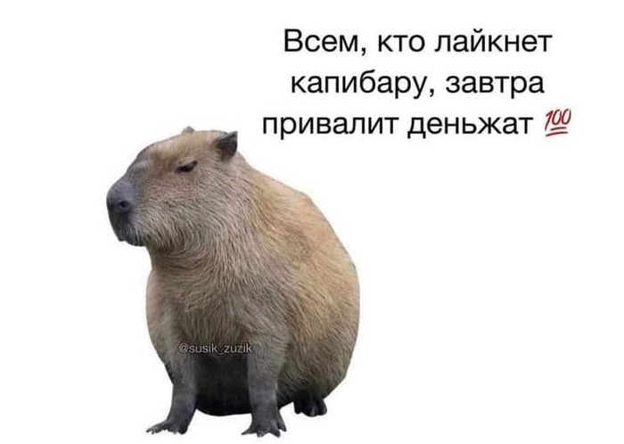   17.09.2024