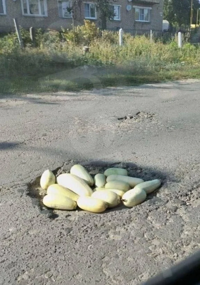 I was driving to work...and then this happened - My, Zucchini, Road, Pit, Autumn, Sadness, The photo