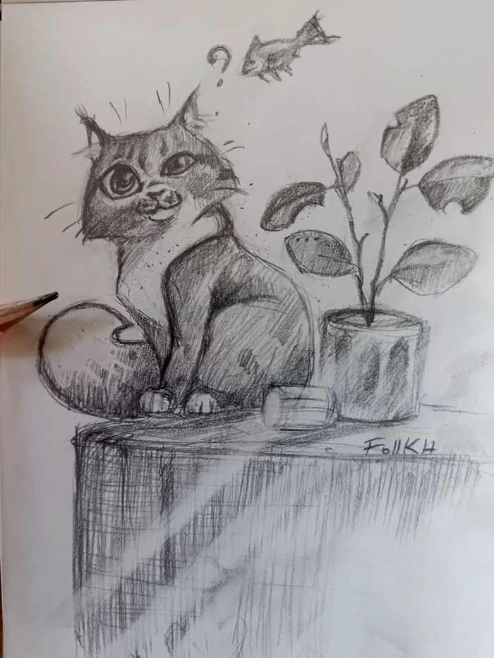 Where are the fish? - My, cat, Do you sell fish?, Drawing, Sketch, Sketchbook, Pencil drawing, Longpost