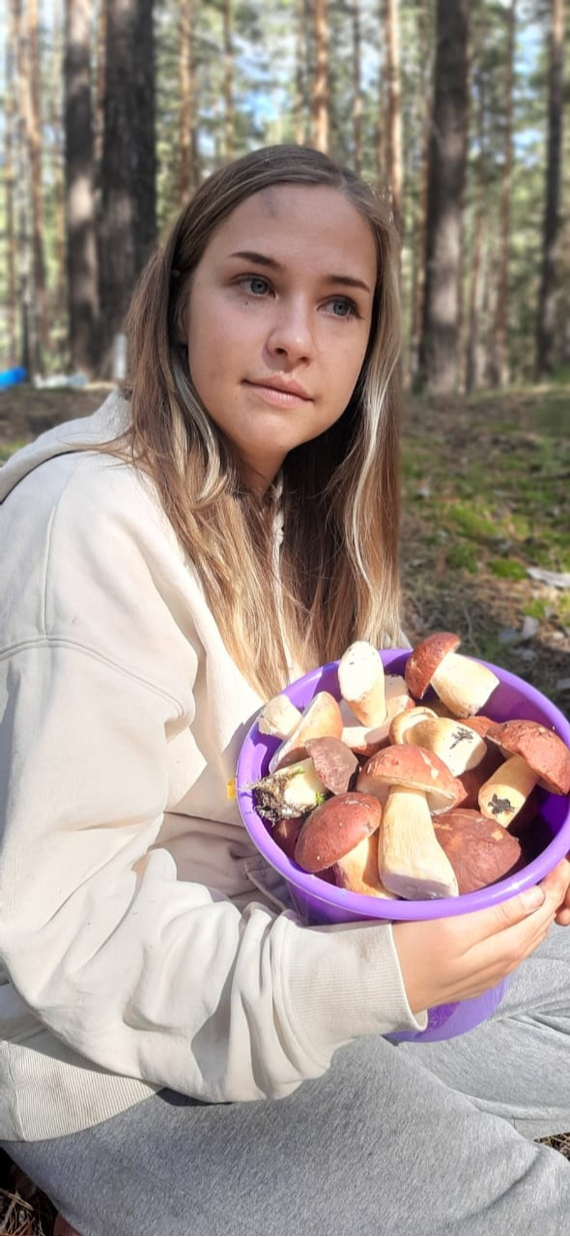 Silent Hunting - My, Mushrooms, Porcini, Honey mushrooms, Forest, Autumn, Silent hunt, Mushroom pickers, Longpost