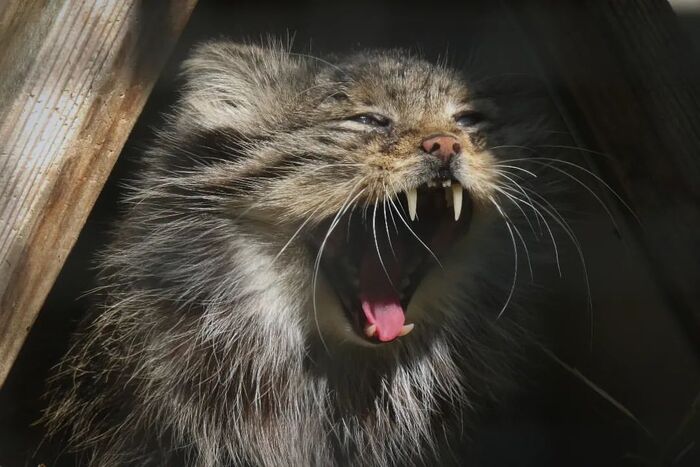 Пора спатушки