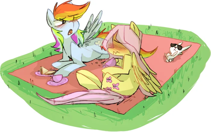 Picnic - My little pony, Fluttershy, Rainbow dash