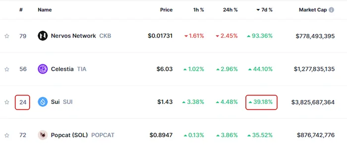 SUI вошел в ТОП быстрорастущих монет, но есть нюанс - Моё, Инвестиции, Криптовалюта, Трейдинг, Альткоины, Длиннопост