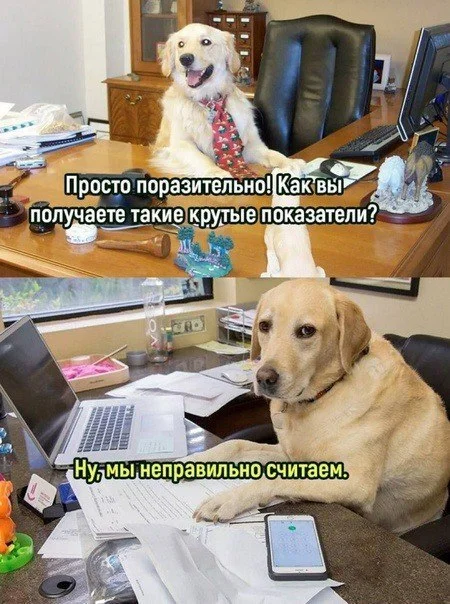 Best employee - Humor, Memes, Picture with text, Dog, Accounting department, Effective manager, IT humor, Repeat