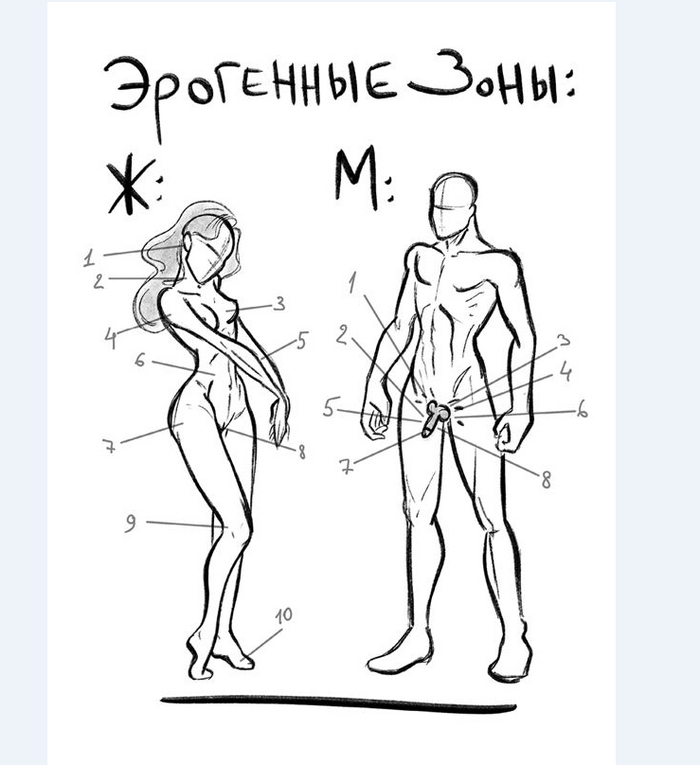  - .       ,   , ,  , , 