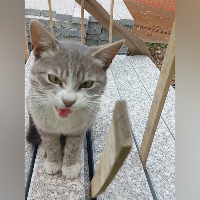   ,  ,    , ,  ? ,   , ,  ,  , ,  , 