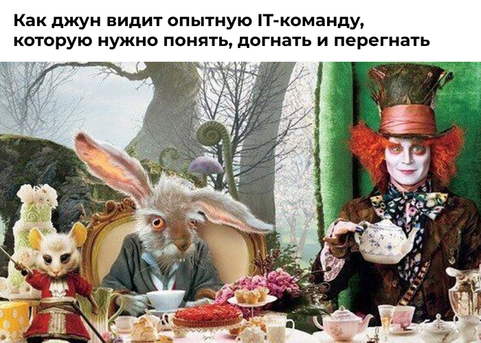       , , , , IT,  