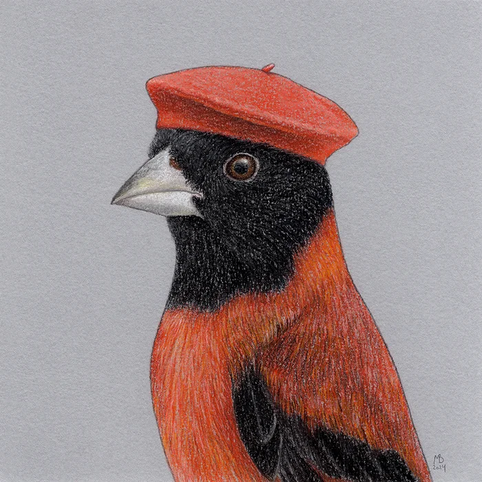 Fire siskin - My, Birds in hats, Art, Drawing, Birds, Animalistics, Pastel, Traditional art, Siskin, Beret