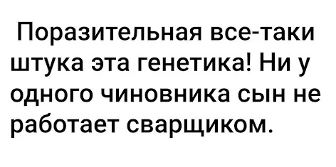 Эволюция наверно - Скриншот, Картинка с текстом, Юмор, Сварщик, Чиновники, Дети