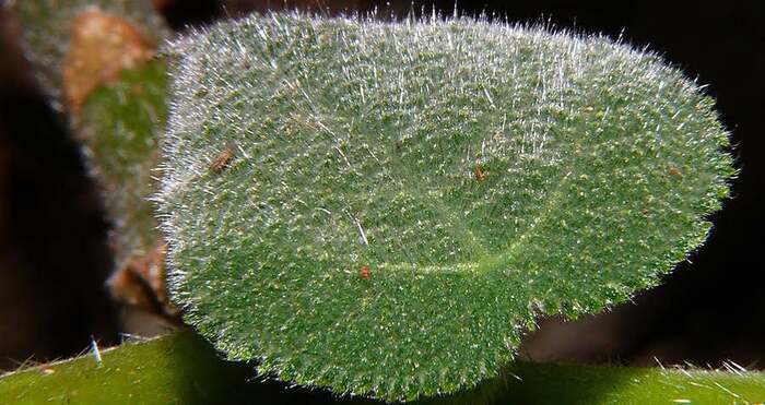 ���� �����-����� � �������� ���������. ���� � ����� <!--noindex--><a href="https://pikabu.ru/story/gimpigimpi_11830880?u=http%3A%2F%2Fderelik.club&t=derelik.club&h=7923813fb4cbe93c87e5b47b99d0d0b9f1c978b7" title="http://derelik.club" target="_blank" rel="nofollow noopener">derelik.club</a><!--/noindex-->.