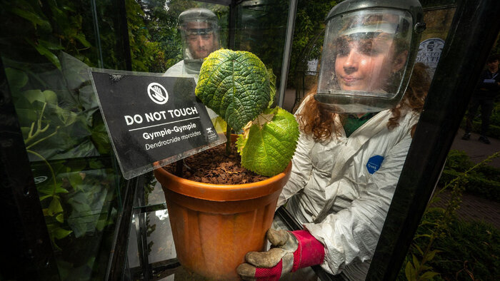 ���������� ���� �������� �������� ��������� �� �����-�����. ���� �&nbsp; ����� <!--noindex--><a href="https://pikabu.ru/story/gimpigimpi_11830880?u=http%3A%2F%2Fdzen.ru&t=dzen.ru&h=4df646f52a546fe378290929d40cca90ccf2902a" title="http://dzen.ru" target="_blank" rel="nofollow noopener">dzen.ru</a><!--/noindex-->.