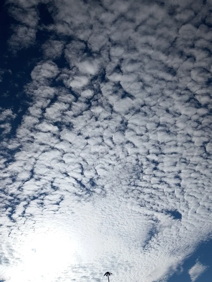 Who needs a slice of July sky? - My, Mobile photography, Moscow, civil defense, Egor Letov, City walk, Sky, Clouds