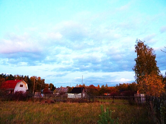 Сельский пейзаж