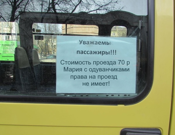 Дискриминация по одуванчиковому признаку? Вы считаете это норма?! - Моё, Рассказ, Юмор, Самоирония, Пятничный тег моё, Челка, Знакомства, Одуванчик, Странный юмор, Городское фэнтези, Видео, Вертикальное видео, Длиннопост, Пруф, Проза, Пятница