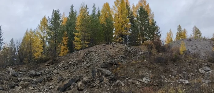 Пожалуй, лучшее время года - Моё, Осень, Времена года, Природа, Фотография