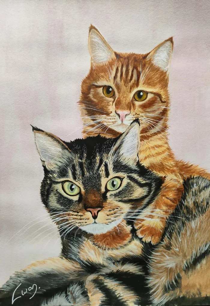 Cat Portraits #20/21 Gavnyusha and Kurkusya - My, Drawing, Painting, Learning to draw, Beginner artist, cat, Pets, Animalistics, Watercolor, Gouache, Traditional art