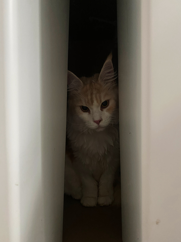  ,    ? ,  , , , , -,  , 